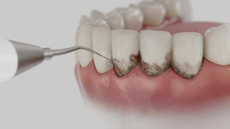 Reliable Dental contractor in New Bedford, PA by Dentist Open Now